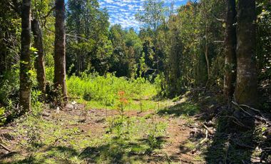 Se vende parcela en la costa Valdiviana Bonifacio