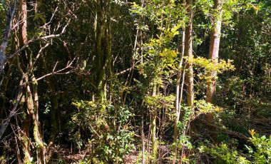 Se vende parcela en la costa Valdiviana Bonifacio