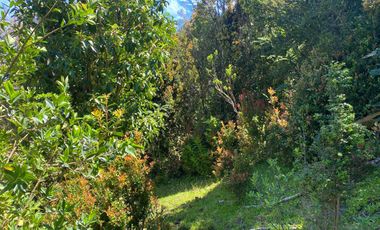 Se vende parcela en la costa Valdiviana Bonifacio