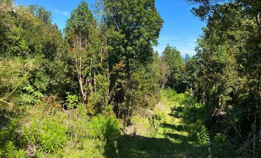 Se vende parcela en la costa Valdiviana Bonifacio