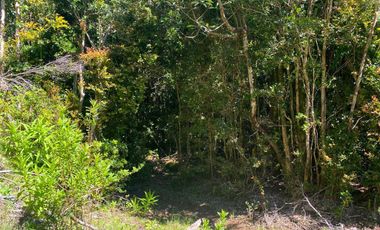 Se vende parcela en la costa Valdiviana Bonifacio