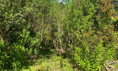 Se vende parcela en la costa Valdiviana Bonifacio