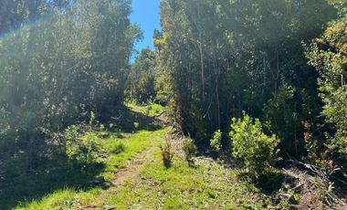 Se vende parcela en la costa Valdiviana Bonifacio