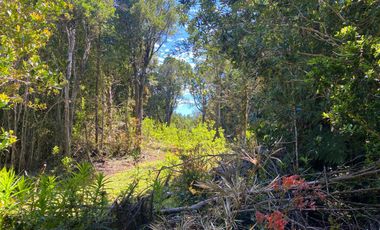 Se vende parcela en la costa Valdiviana Bonifacio