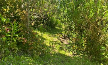 Se vende parcela en la costa Valdiviana Bonifacio