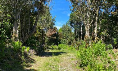 Se vende parcela en la costa Valdiviana Bonifacio