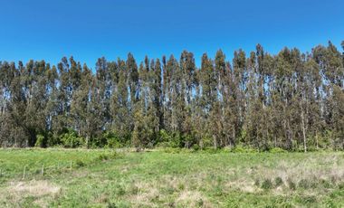 PARCELA ORILLA DE CARRETERA, RUTA 225, PUERTO VARAS
