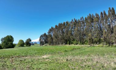 PARCELA ORILLA DE CARRETERA, RUTA 225, PUERTO VARAS