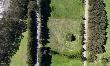 PARCELA ORILLA DE CARRETERA, RUTA 225, PUERTO VARAS