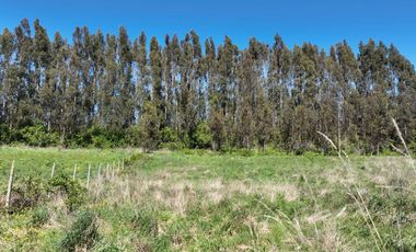 PARCELA ORILLA DE CARRETERA, RUTA 225, PUERTO VARAS