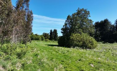 PARCELA ORILLA DE CARRETERA, RUTA 225, PUERTO VARAS
