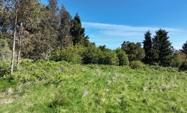 PARCELA ORILLA DE CARRETERA, RUTA 225, PUERTO VARAS