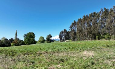 PARCELA ORILLA DE CARRETERA, RUTA 225, PUERTO VARAS