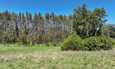 PARCELA ORILLA DE CARRETERA, RUTA 225, PUERTO VARAS