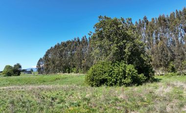 PARCELA ORILLA DE CARRETERA, RUTA 225, PUERTO VARAS
