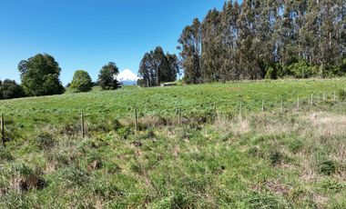 PARCELA ORILLA DE CARRETERA, RUTA 225, PUERTO VARAS