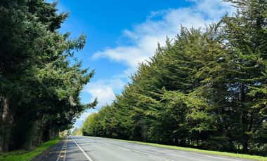 PARCELA ORILLA DE CARRETERA, RUTA 225, PUERTO VARAS