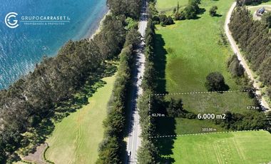 PARCELA ORILLA DE CARRETERA, RUTA 225, PUERTO VARAS