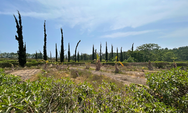 VENTA DE TERRENO EN CONDOMINIO ECOLÓGICO – VILLA TOTORA, QUILMANÁ (Cañete)