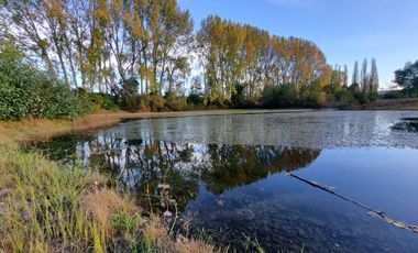 Venta de 3 Parcelas Exclusivas con Acceso al Río Calle Calle – Antilhue