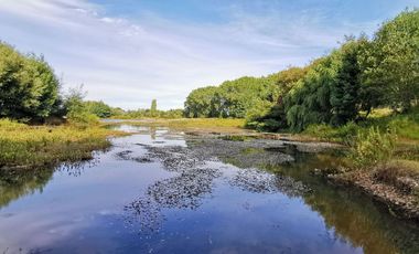 Venta de 3 Parcelas Exclusivas con Acceso al Río Calle Calle – Antilhue