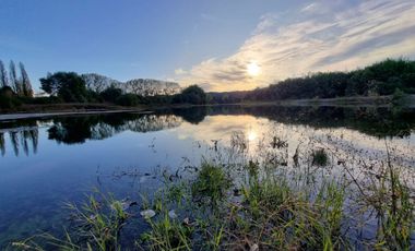 Venta de 3 Parcelas Exclusivas con Acceso al Río Calle Calle – Antilhue