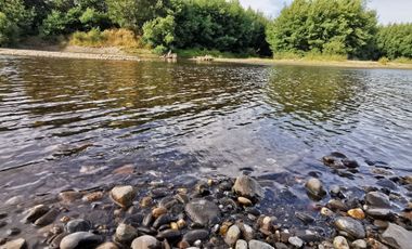 Venta de 3 Parcelas Exclusivas con Acceso al Río Calle Calle – Antilhue