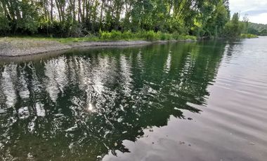 Venta de 3 Parcelas Exclusivas con Acceso al Río Calle Calle – Antilhue