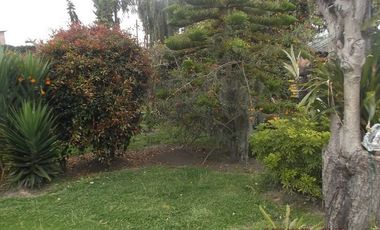 SE ARRIENDA HERMOSA CASA EN CHÍA SECTOR DELICIAS