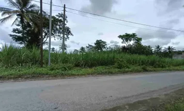 Tanah Bululawang Poros Jalan Aspal Akses Truk Fuso