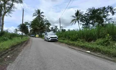 Tanah Bululawang Poros Jalan Aspal Akses Truk Fuso