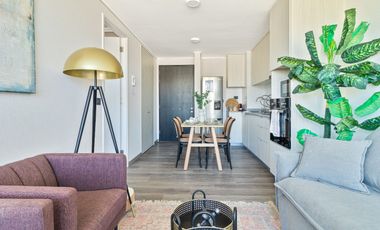 Arriendo departamento de una habitación en Viña del Mar Nuevo