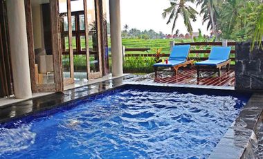 Dijual Cepat Luxury Villa Komersil Di Kawasan Wisata Ubud - Bali.