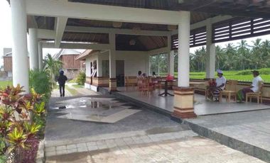 Dijual Cepat Luxury Villa Komersil Di Kawasan Wisata Ubud - Bali.