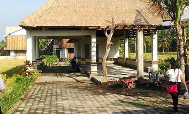 Dijual Cepat Luxury Villa Komersil Di Kawasan Wisata Ubud - Bali.