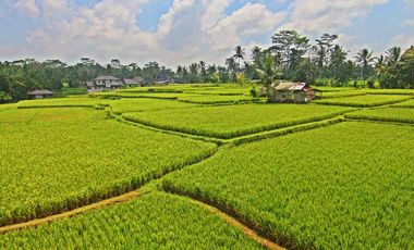 Dijual Cepat Luxury Villa Komersil Di Kawasan Wisata Ubud - Bali.