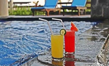 Dijual Cepat Luxury Villa Komersil Di Kawasan Wisata Ubud - Bali.