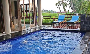 Dijual Cepat Luxury Villa Komersil Di Kawasan Wisata Ubud - Bali.