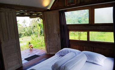 Dijual — Homestay Asri di Kawasan Sejuk Banyuwangi, Dekat Ijen