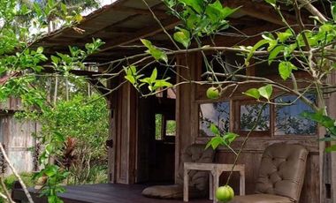 Dijual — Homestay Asri di Kawasan Sejuk Banyuwangi, Dekat Ijen
