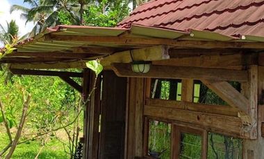 Dijual — Homestay Asri di Kawasan Sejuk Banyuwangi, Dekat Ijen