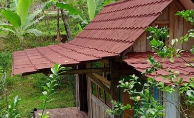 Dijual — Homestay Asri di Kawasan Sejuk Banyuwangi, Dekat Ijen