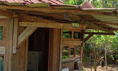 Dijual — Homestay Asri di Kawasan Sejuk Banyuwangi, Dekat Ijen