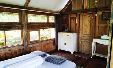 Dijual — Homestay Asri di Kawasan Sejuk Banyuwangi, Dekat Ijen