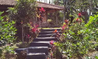 Dijual — Homestay Asri di Kawasan Sejuk Banyuwangi, Dekat Ijen
