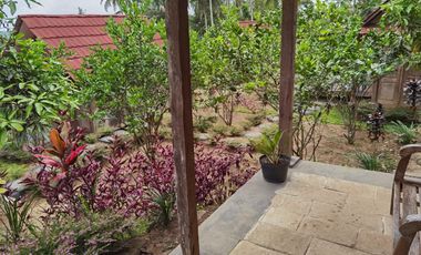Dijual — Homestay Asri di Kawasan Sejuk Banyuwangi, Dekat Ijen