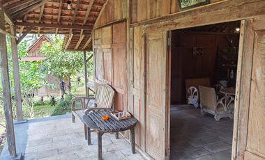 Dijual — Homestay Asri di Kawasan Sejuk Banyuwangi, Dekat Ijen