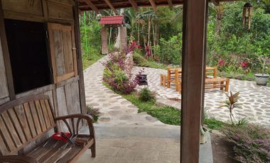 Dijual — Homestay Asri di Kawasan Sejuk Banyuwangi, Dekat Ijen