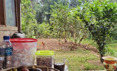 Dijual — Homestay Asri di Kawasan Sejuk Banyuwangi, Dekat Ijen