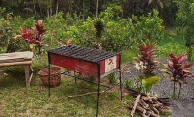 Dijual — Homestay Asri di Kawasan Sejuk Banyuwangi, Dekat Ijen